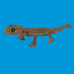 Epic Gecko Group