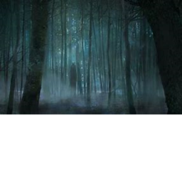THE FOREST