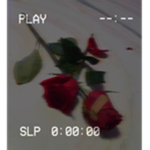Aesthetic Gold Roses