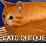 peach cat