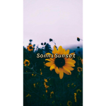 SonniSunset’s Group