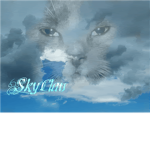 ~~~Skyclan~~~