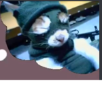 Ziggas should all HANGout.