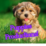 Puppies Productions