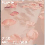~.PeachAdores.~