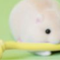 ❁