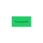 Princeton Roblox Group