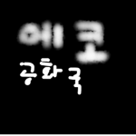 더더-에코백(헿)