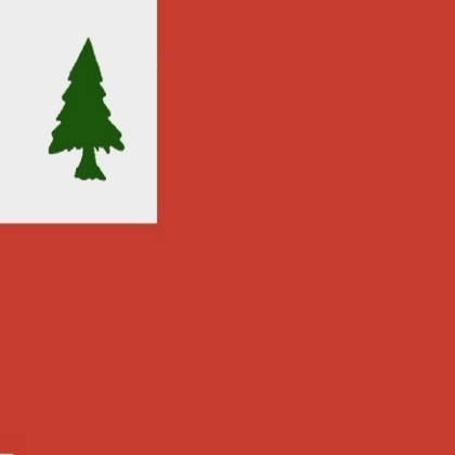 Continental flag Roblox decal