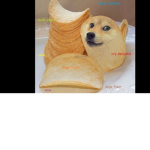 DOGE FOREVER SKSKSK
