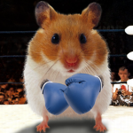 Hamsters Zone
