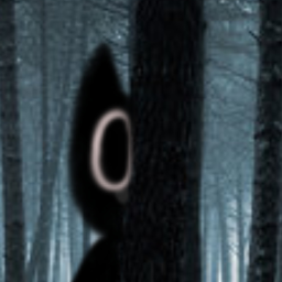 ⚫🌲The Cat In The Woods(NEW)
