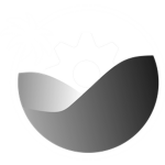Koi County Lifeguards