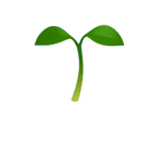 Sunny Seedlings