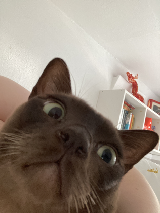 CFrame to Module preview 2