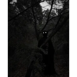 RUN AWAY FROM DEMONS IN THE FOREST AT NIGHT😨😱😱