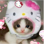 ʚ casper ɞ
