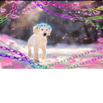 ~*Dogies*~