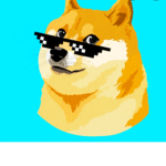 DOGE BEST!