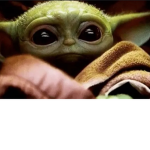 THE YODA SQUAD!!!