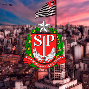 A Cidade De São Paulo [V.2]