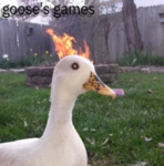 g0ose's games