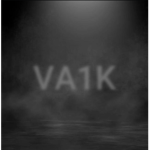 VALK Martial Arts