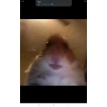 Random LOL hehe