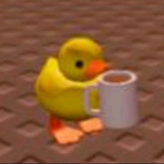 Ducky Culture