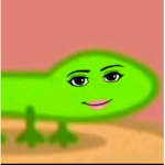 채린 클럽