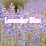 Lavender Blue