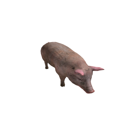 Pig mesh (low poly)
