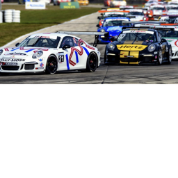Race العرب