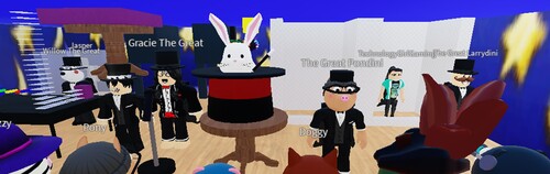 Magic Show Stories