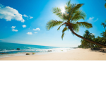 beach sun