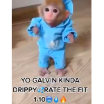 GalvinTheGreatMonkey