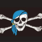 The blue parrot pirates