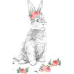 HAPPY HOPPY
