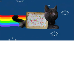 Pop tart rainbow 🌈 cat