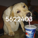 #48