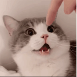 very mm yes grop