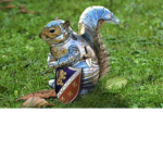 Squirrel. Army