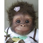 Testing rn monkey