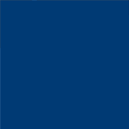 The Color Blue Roblox decal
