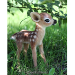 Bambi! :D