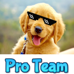 The Official Pro Team