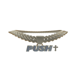 PUSH CHAIN
