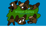 Wildest Games