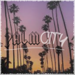 PalmCity Hangout