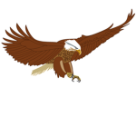 Eagle STORE
